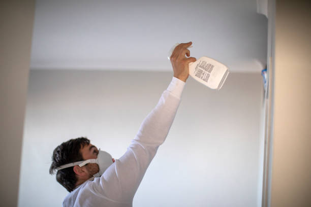Trusted Swannanoa, NC Mold Removal Experts